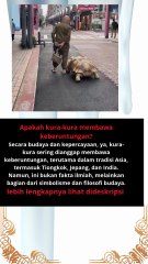 Apakah kura-kura membawa keberuntungan