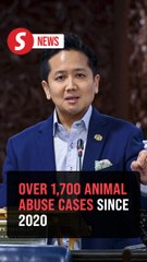 Over 1,700 animal abuse cases investigated since 2020, says deputy minister