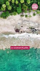 Un enfant de 7 ans attaqué par un requin à Nuku Hiva
