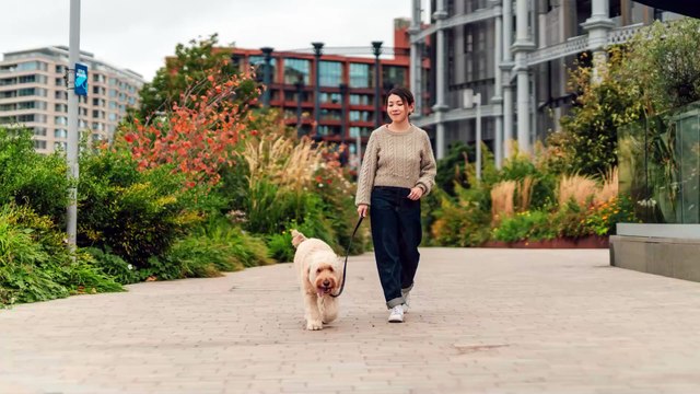 Camminare fa bene: quali sono i momenti migliori della giornata?