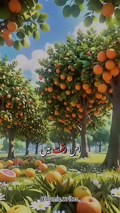 Hidden Beauty and Wisdom of Faith ❣️.#allah #islamic #trending #trend #explore #viral #viralreels