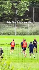 João Félix