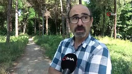 ''İmar Barışı''nı fırsat bilip Türkiye'nin zirvesindeki yemyeşil cenneti işgal ettiler!