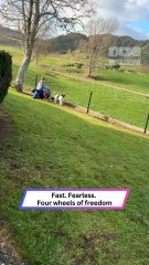 Tiny Daredevil on Wheels Meets the Ground… Fast!