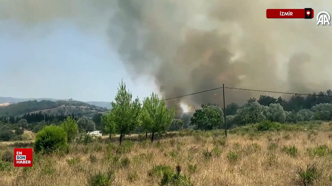 İzmir'in Buca ilçesinde çıkan orman yangınına havadan ve karadan müdahale edildi