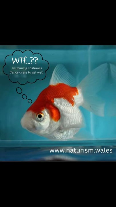 www.naturism.wales
