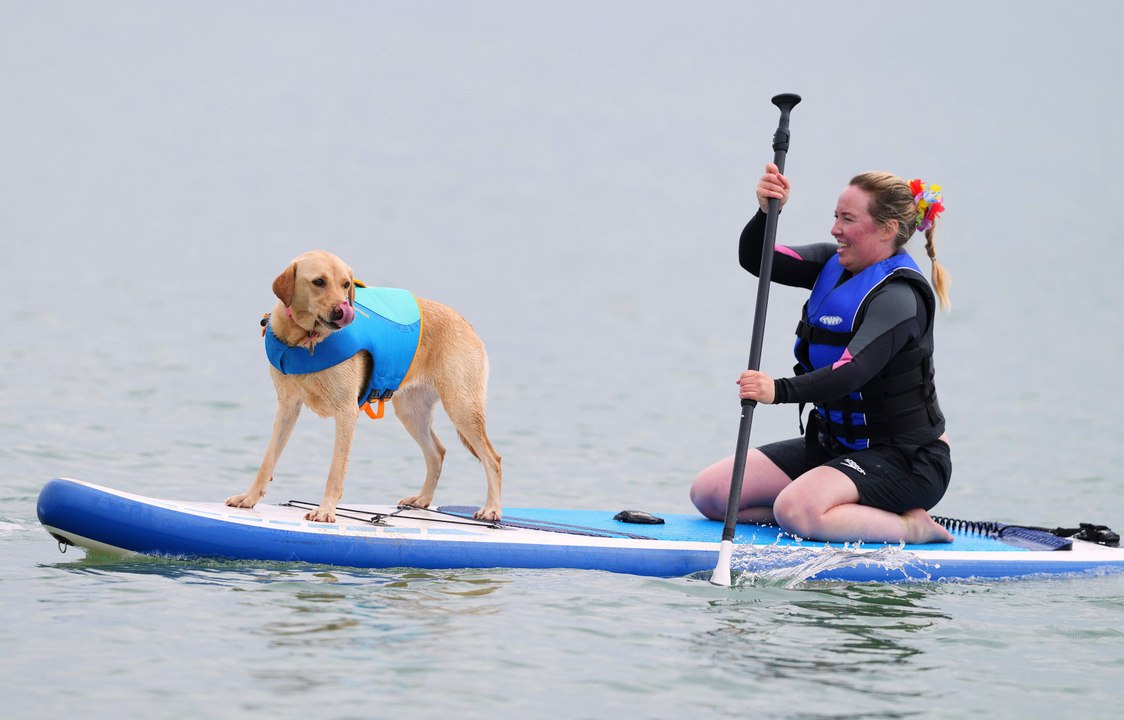 UK dog surfing championship breaks world records