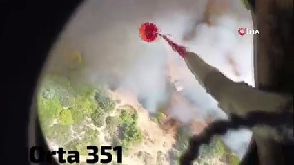 İzmir Bornova’da orman yangını