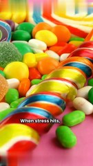 Taste of Nostalgia: Comfort Foods That Bring You Home