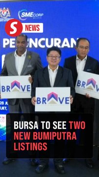 Two bumiputra companies targeted for listing on Bursa this year, says Ahmad Zahid