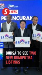 Two bumiputra companies targeted for listing on Bursa this year, says Ahmad Zahid
