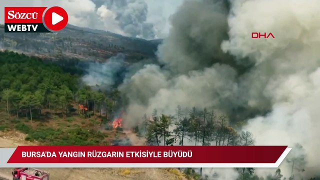 Bursa'da yangın rüzgarın etkisiyle büyüdü