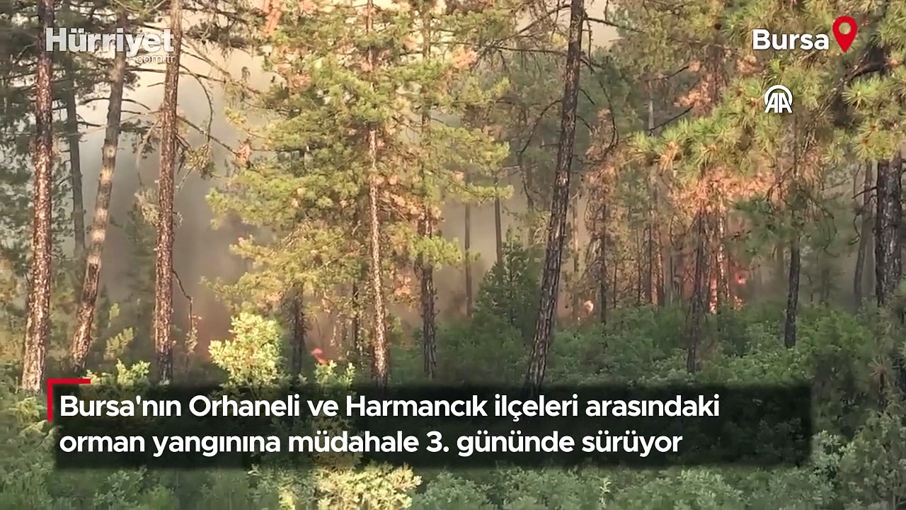 Bursa'daki orman yangınına müdahale 3. gününde sürüyor