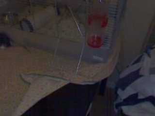 Touche pas à ma table !