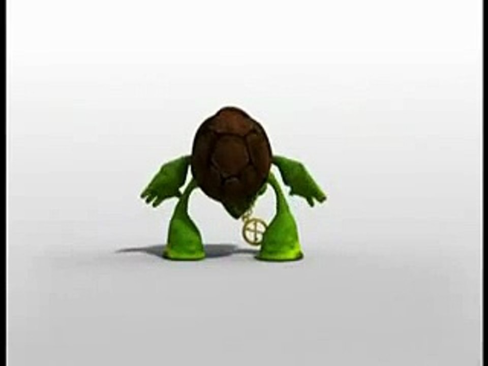 Crazy Turtle ll 2024 2025