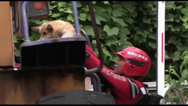 Cina, piogge torrenziali nel Nord. Quattro morti per una frana