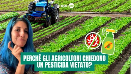 Perchè gli agricoltori chiedono un pesticida vietato?