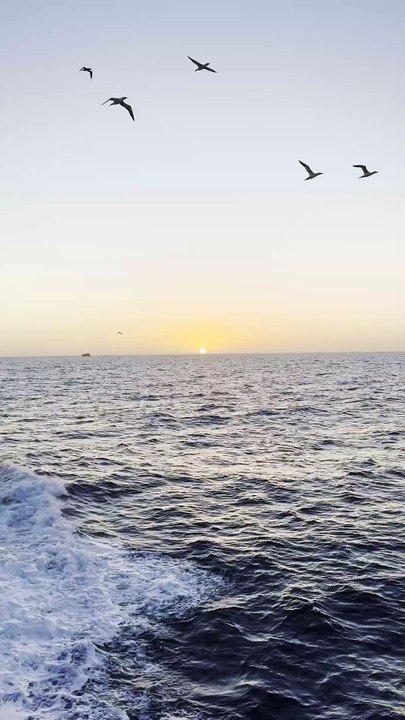 Nature , Ocean #sunset