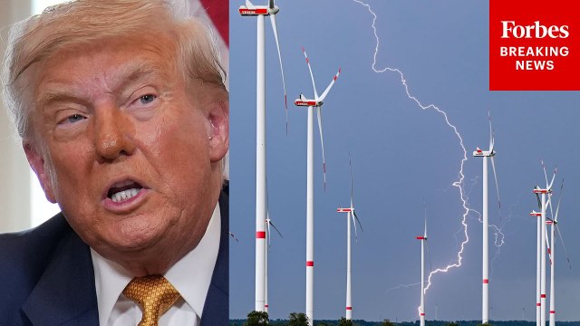 Trump Goes On Sudden Tirade Against Windmills During Meeting With EU President Ursula Von Der Leyen