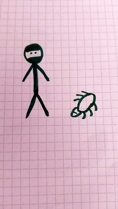 Ninja disegno 28