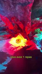 Une Journée Gourmande à Tomorrowland : Mon Menu en 24H 🍽️