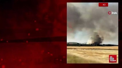 Kütahya'da orman yangını