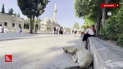Kilis ve Şanlıurfa’da sıcak hava hayatı olumsuz etkiliyor