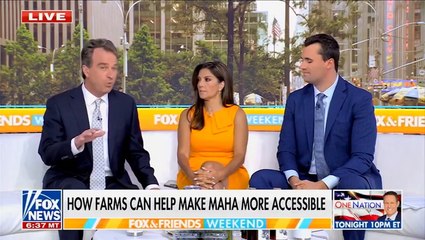 Fox News hosts suggests children can fill farm labor shortages caused by Trump deportations