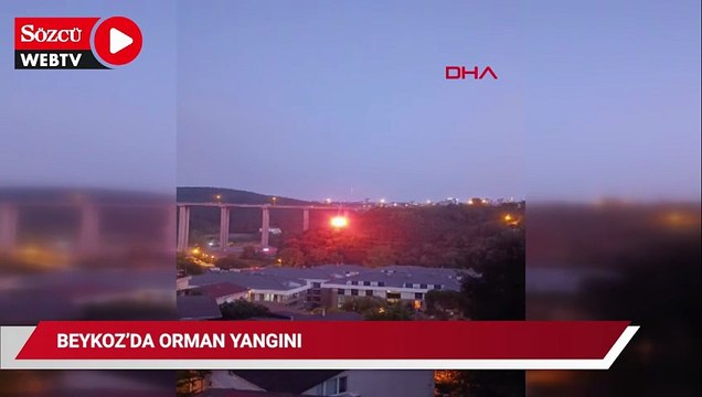 İstanbul'da orman yangını: Ekipler sevk edildi...