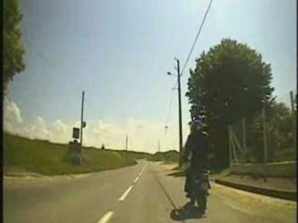 Monkey