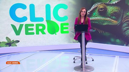 París vuelve a nadar en el Sena tras más de un siglo