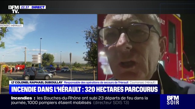 Incendie dans l'Hérault: après avoir parcouru 320 hectares, le feu est en passe d'être maîtrisé