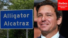 'We're The Only State Of 50 That's Done What We've Done':Gov. DeSantis Touts Alligator Alcatraz