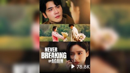 Never Breaking Up Again