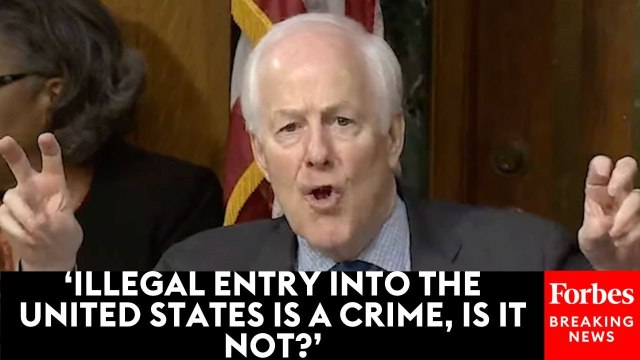 John Cornyn Mocks Concept Of 'Otherwise Law-Abiding' Illegal Immigrants To Former ICE Special Agent