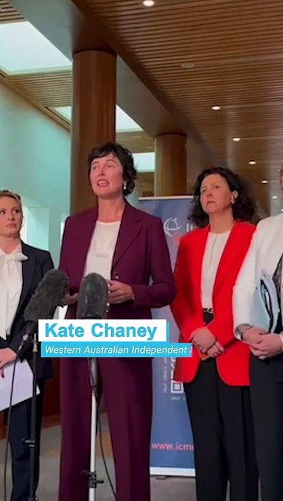 'There's no reason for these apps to be downloaded', Independent MP's push to ban AI nudity apps