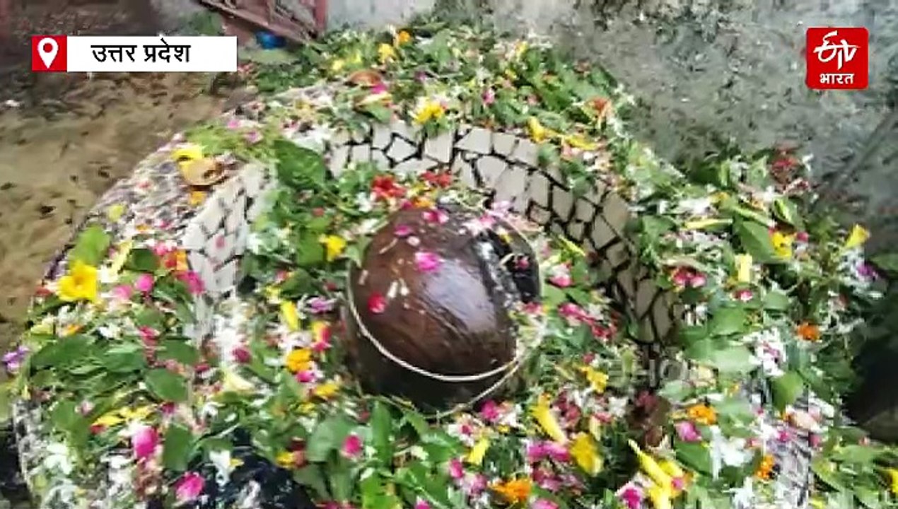 यूपी का अनोखा शिव मंदिर; यहां की मिट्टी से डरते हैं सांप, रहते हैं कोसों दूर, नाग पंचमी पर होती है कालसर्प की पूजा