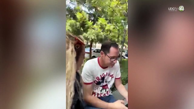 Por aviadores, socavones y tarifazo , Carlos Lomelí exige que renuncie el director del SIAPA