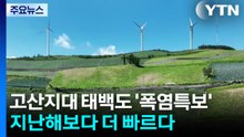 [날씨] 고산지대 태백도 '폭염특보'...지난해보다 더 빠르다 / YTN