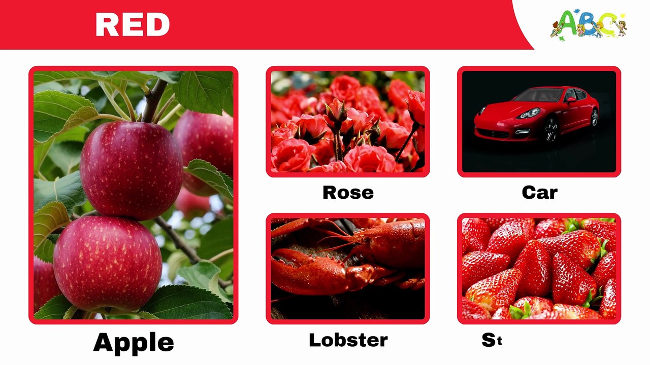 Learning Colors for Toddlers | Learn to Identify Colors for Kindergarten and Preschoolers