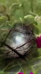 Baadlon me in chup raha chand kyon by Aishwarya Tiwari Indian 🇮🇳