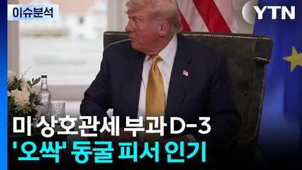 [뉴스나우] 미 상호관세 부과 D-3...막판 협상 카드는? / YTN