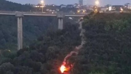 İşaret fişeğiyle ormanı yaktı, gözaltına alındı