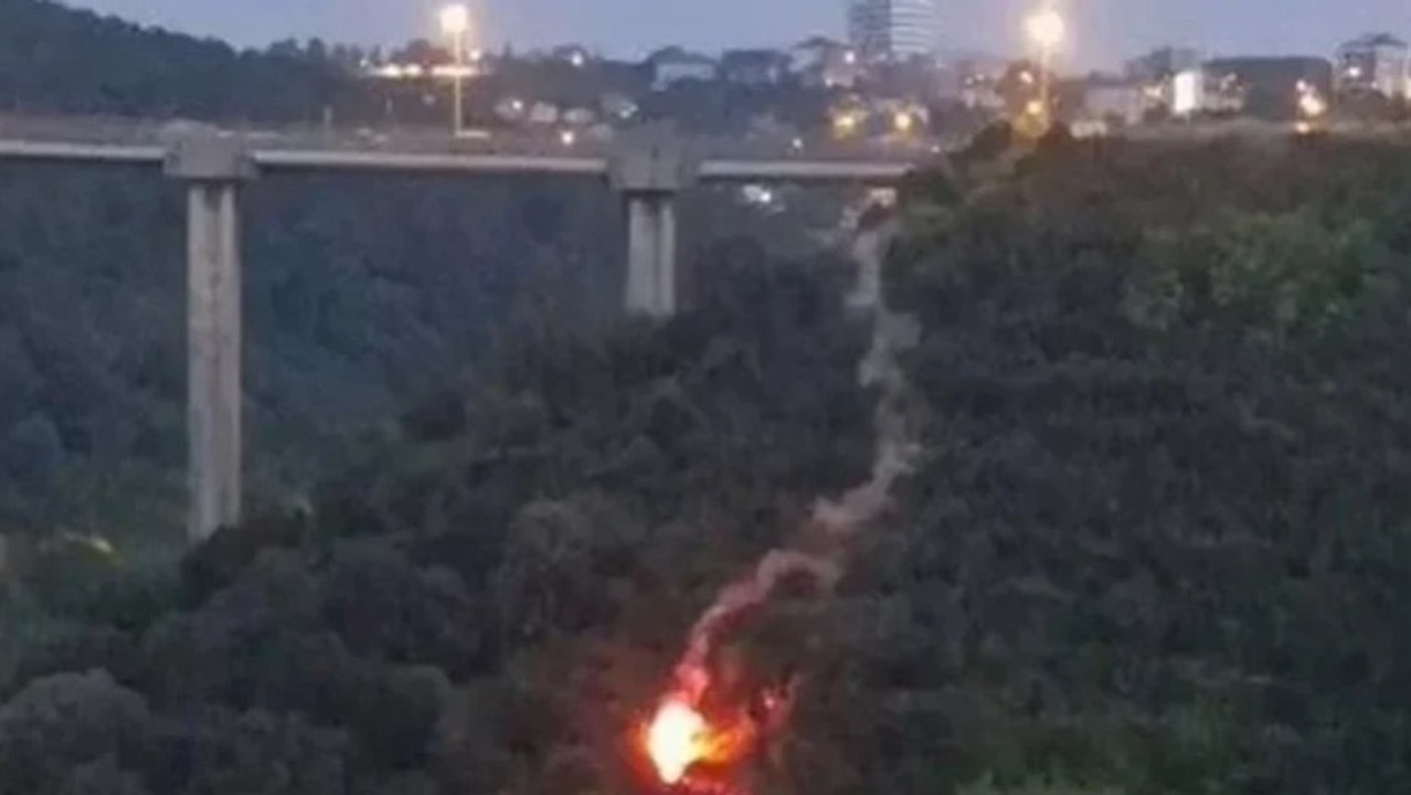 İşaret fişeğiyle ormanı yaktı, gözaltına alındı