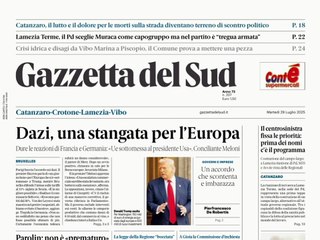 rassegna stampa 29 luglio calabria