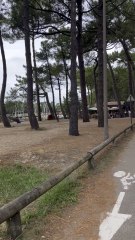 LES PLUS TYPIQUES paysages landais