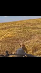 Lo que hace una gueparda embarazada deja sin palabras a un grupo de visitantes