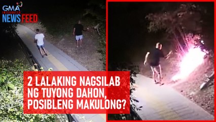 2 lalaking nagsilab ng tuyong dahon, posibleng makulong? | GMA Integrated Newsfeed