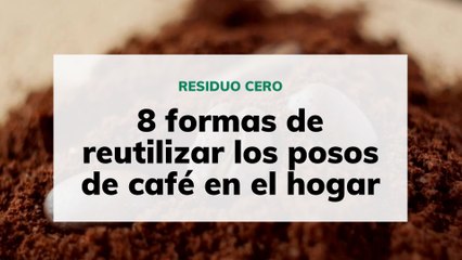 Cómo aprovechar los posos de café para las plantas