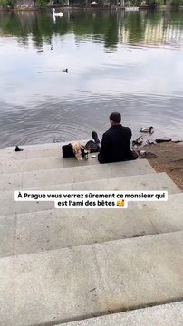 Les ragondins de Prague 🇨🇿